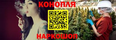 прущие крисы Когалым