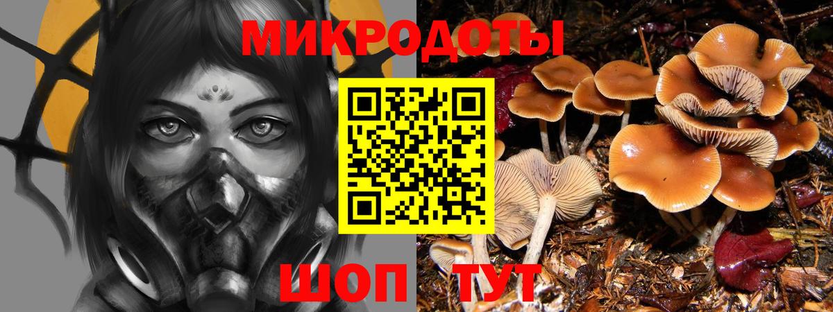 Псилоцибиновые грибы ЛСД  наркота  Псилоцибиновые грибы прущие грибы  Владимир  Вход с VPN 
