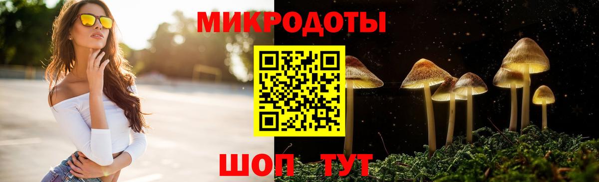 Псилоцибиновые грибы прущие грибы Владимир